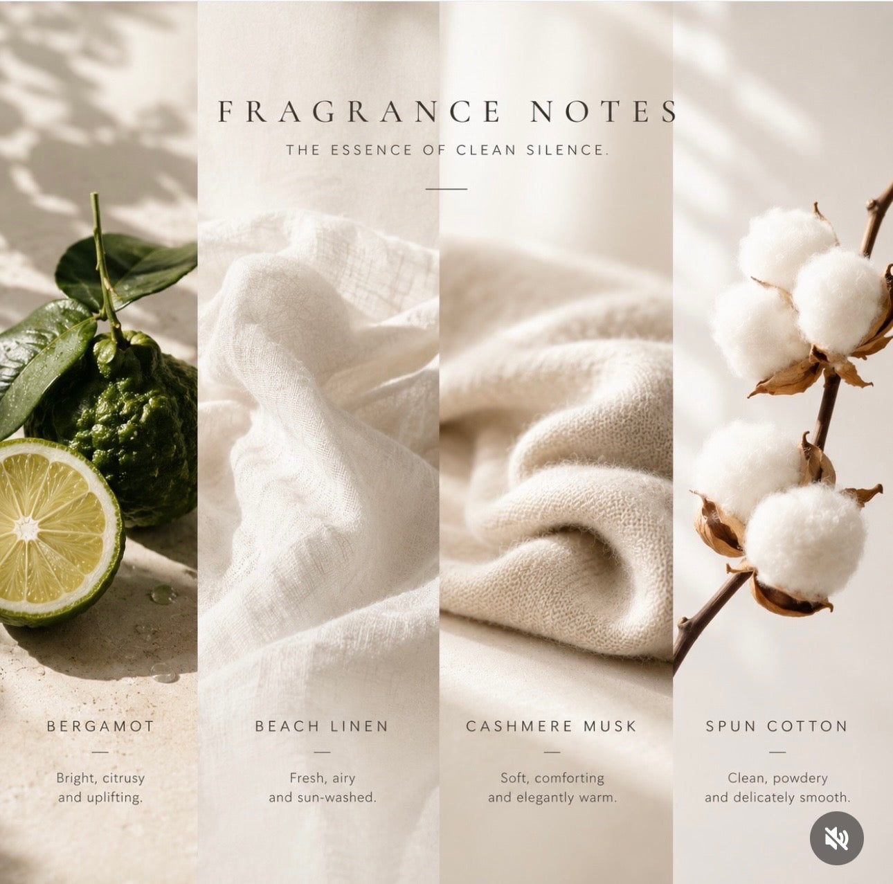 Flamma Hestia AURA luxury candle, additional product detail view